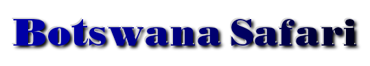 botswana safari header