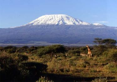 the top ten site kilimanjaro image