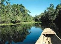 River Amazon