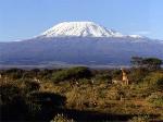 the top ten site kilimanjaro image