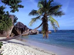 seychelles beach, woman on a perfect seychelles beach