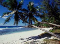 perfec beach in the seychelles